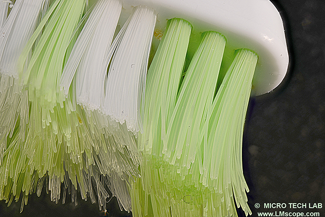 LM Makroskop 24x Zahnb�rste unhygienisch